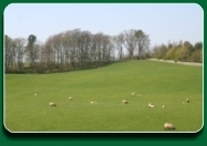 The view from the lounge at Coldbeck Barn - click on the image for a larger version